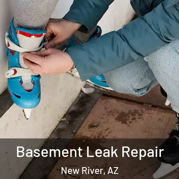  Basement Leak Repair New River, AZ