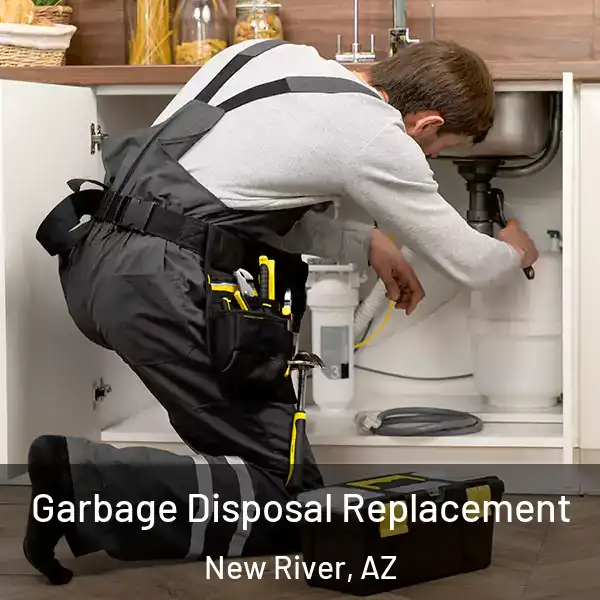  Garbage Disposal Replacement New River, AZ