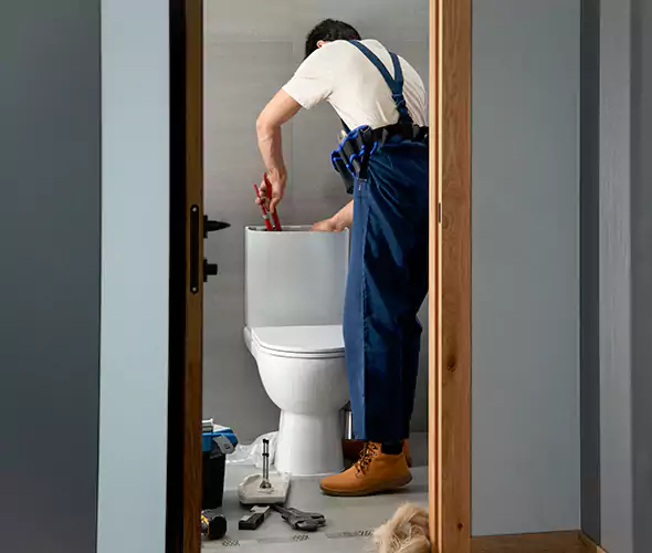 Professional Plumbers for Toilet Bowl Replacement in New River, AZ: Schedule Affordable Toilet Replacement Services With Us