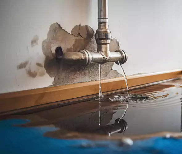 Professional Water Damage Restoration Experts in New River, AZ — Fast, Reliable & Certified