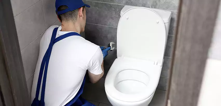 Toilet Lid Replacement in New River