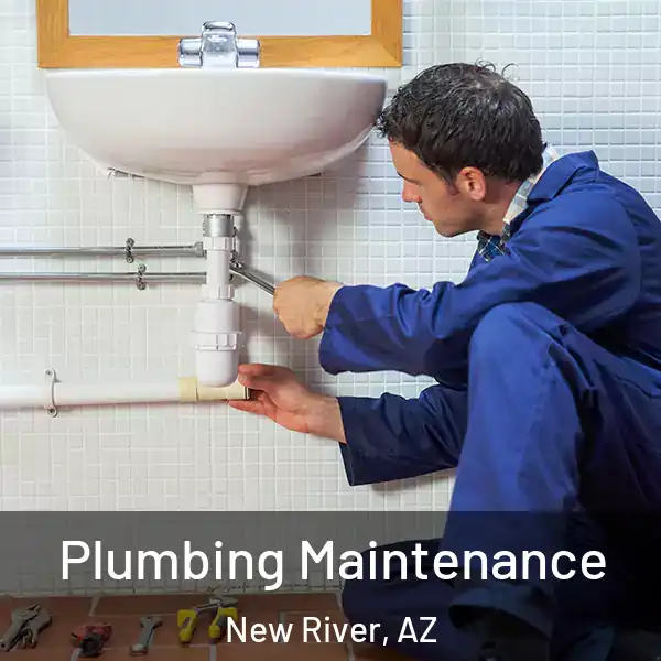  Plumbing Maintenance New River, AZ