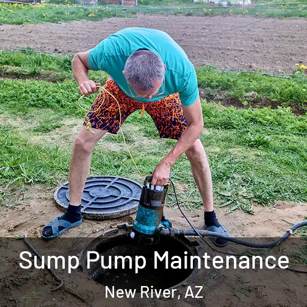  Sump Pump Maintenance New River, AZ