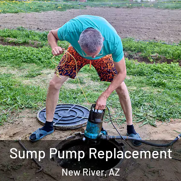  Sump Pump Replacement New River, AZ