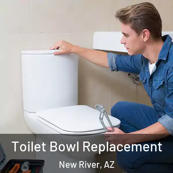  Toilet Bowl Replacement New River, AZ
