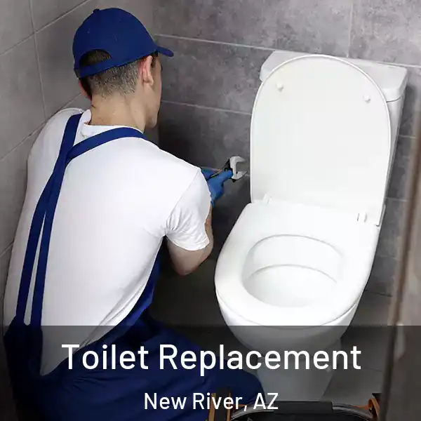  Toilet Replacement New River, AZ
