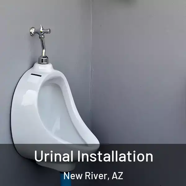  Urinal Installation New River, AZ
