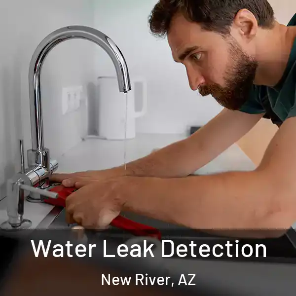  Water Leak Detection New River, AZ